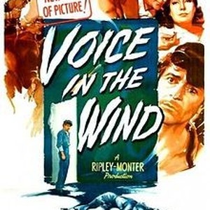 "Voice in the Wind photo 9"