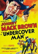 Undercover Man poster image