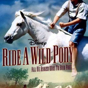 Ride a Wild Pony - Rotten Tomatoes