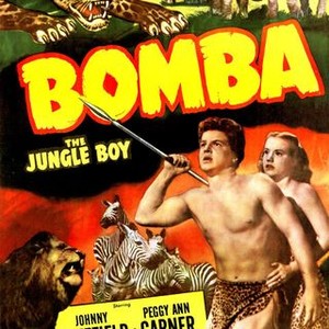 Bomba, the Jungle Boy photo 3