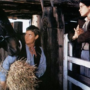 THE MAN FROM SNOWY RIVER, Tom Burlinson, Sigrid Thornton, 1982, TM and Copyright (c)20th Century Fox Film Corp. All rights reserved.