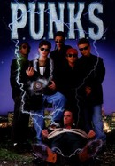 P.U.N.K.S. poster image