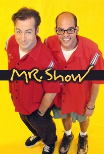 Mr. Show With Bob and David poster image