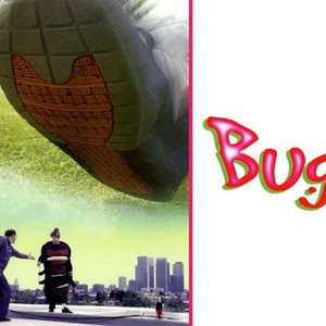 "Bug photo 1"
