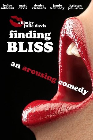 Finding Bliss poster