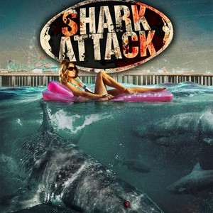 "Jersey Shore Shark Attack photo 10"