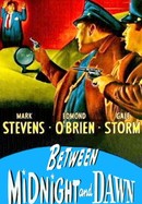 Between Midnight and Dawn poster image