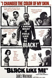 Poster for Black Like Me