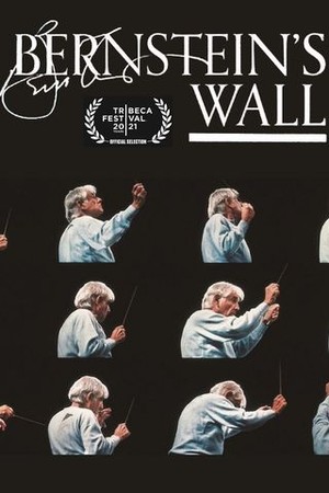 Bernstein's Wall poster