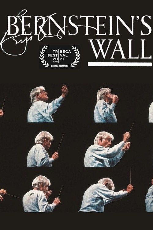 Bernstein's Wall poster