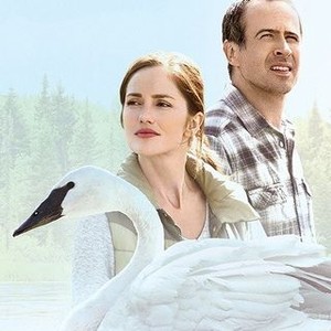 The Swan  Rotten Tomatoes