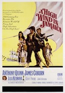 A High Wind in Jamaica poster image