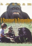 A Summer to Remember poster image