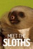 Poster for