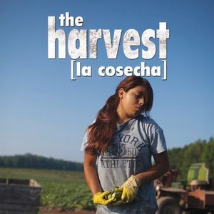 The Harvest photo 17
