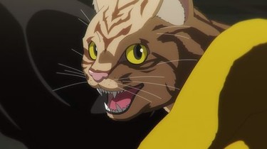Nyaight of the Living Cat: Season 1, Episode 1 | Rotten Tomatoes