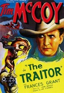 The Traitor poster image