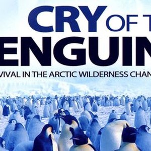 "Cry of the Penguins photo 10"