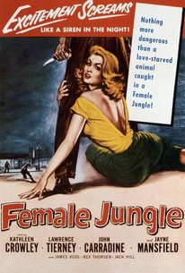 Poster for Female Jungle