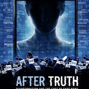 After Truth: Disinformation and the Cost of Fake News (2020)