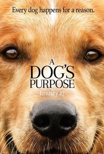 Watch trailer for A Dog's Purpose