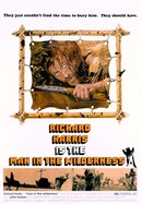 Man in the Wilderness poster image