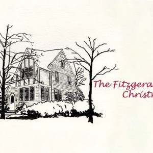 The Fitzgerald Family Christmas photo 16