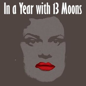 In a Year of 13 Moons photo 6