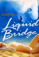 Liquid Bridge poster image