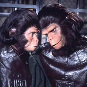 Escape From the Planet of the Apes (1971) photo 9