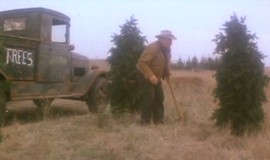 1941: Official Clip - Japanese Christmas Trees