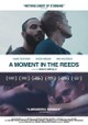 A Moment in the Reeds