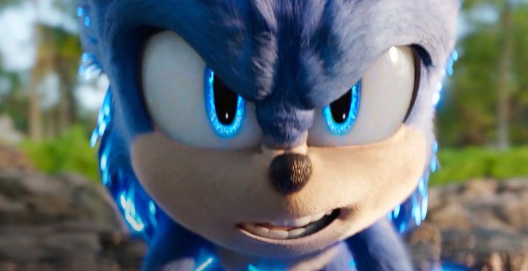 The hedgehog sonic Sonic The