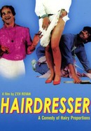 The Hairdresser poster image