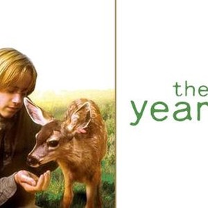 The Yearling photo 4