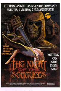Poster for Night of the Seagulls