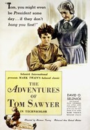 The Adventures of Tom Sawyer poster image
