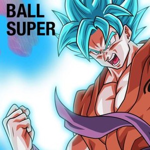 Dragon Ball Super Season 6 Dvd Release Date