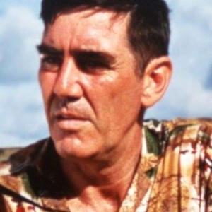 Demonstone (1989) photo 2