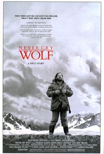 Never Cry Wolf poster