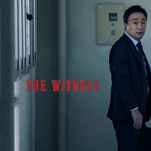 The Witness photo 14