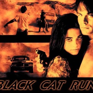 Black Cat Run photo 1