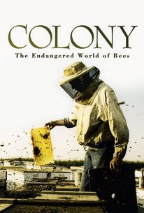 Watch trailer for Colony