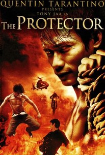 The protector 2