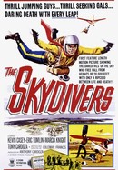 The Skydivers poster image