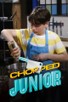 Poster for