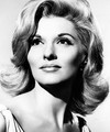 Nancy Kovack