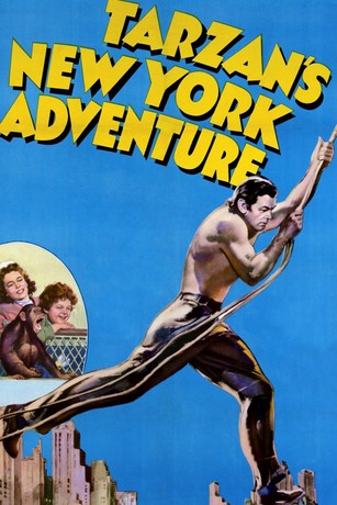 Amazon.co.jp: THE STORY OF TARZAN ~2007 TOUR FINAL & DOUBLE