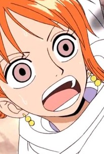 One Piece Season 4 Episode 24 Rotten Tomatoes