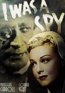 I Was a Spy poster image